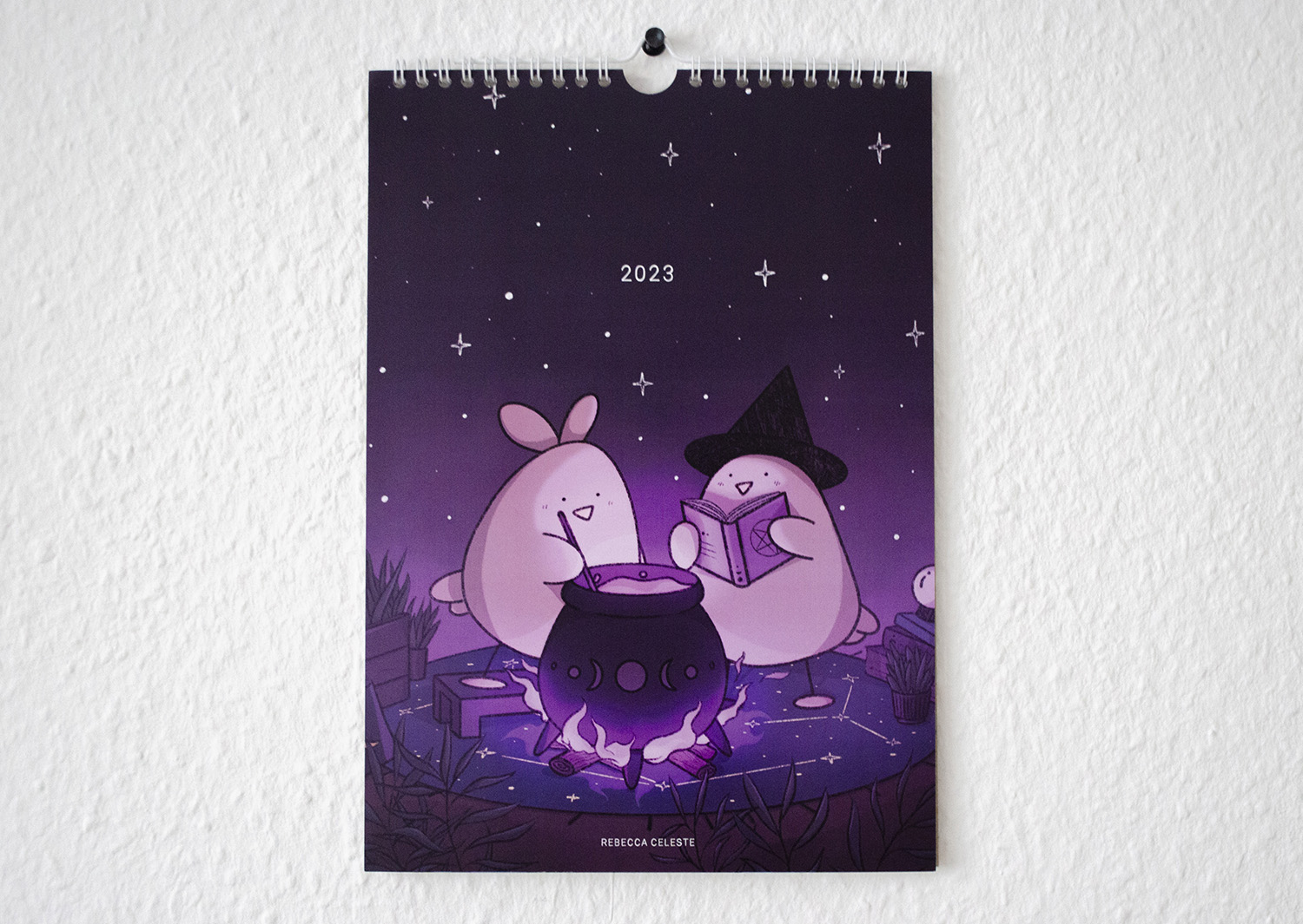 Bird Calendar 2023 Cover Photo