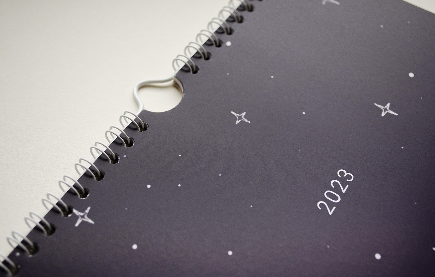 Bird Calendar 2023 Cover Photo Close Up